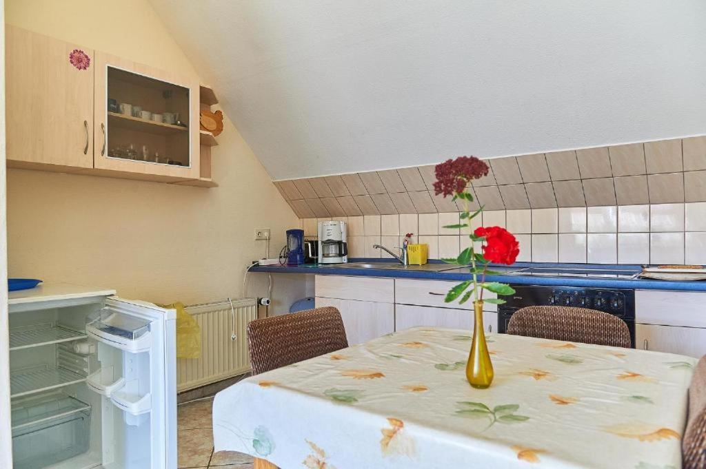 Appartement Schwalbenhof Woellnau à Doberschutz Extérieur photo