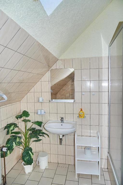 Appartement Schwalbenhof Woellnau à Doberschutz Extérieur photo